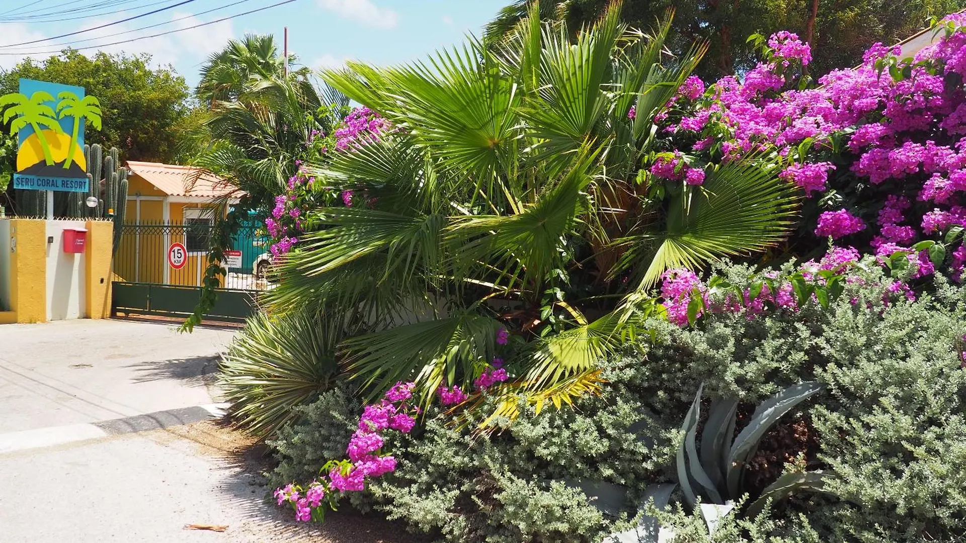 Apartment Kas Di Bami A-194 Op Seru Coral Resort - Ruim Appartement Met Groot Zwembad En Tropische Tuin Willemstad Curacao